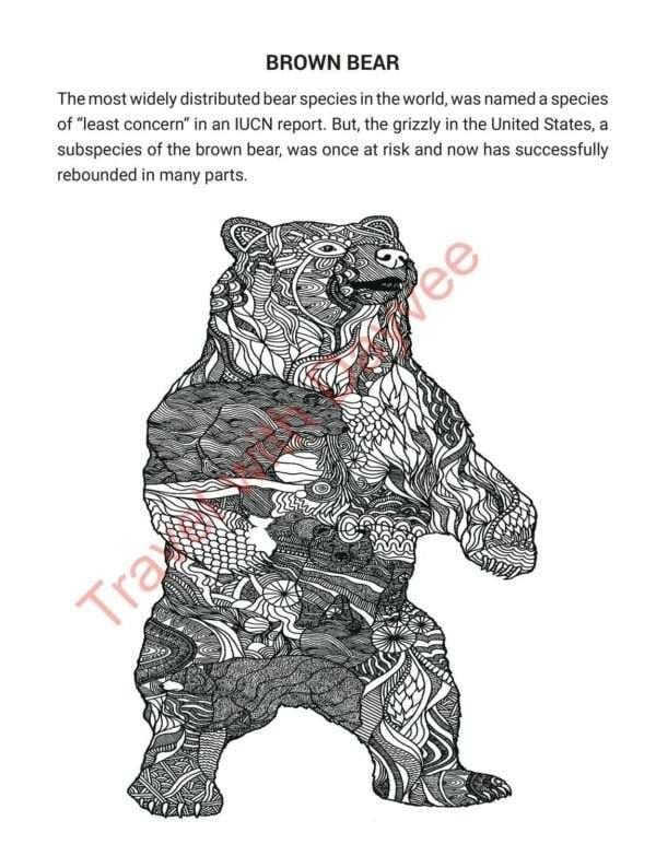 ENDANGERED SPECIES OF THE WORLD & other important animals to love - PDF download - Image 3
