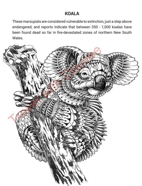 ENDANGERED SPECIES OF THE WORLD & other important animals to love - PDF download - Image 2