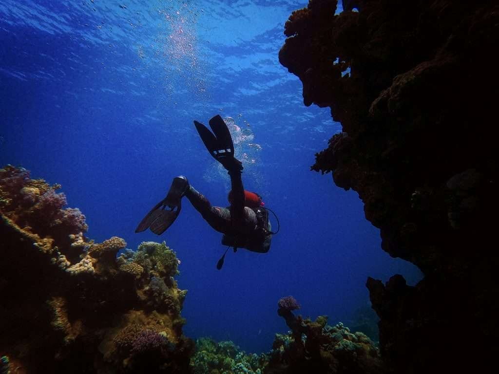 a woman snorkeling while pregnant