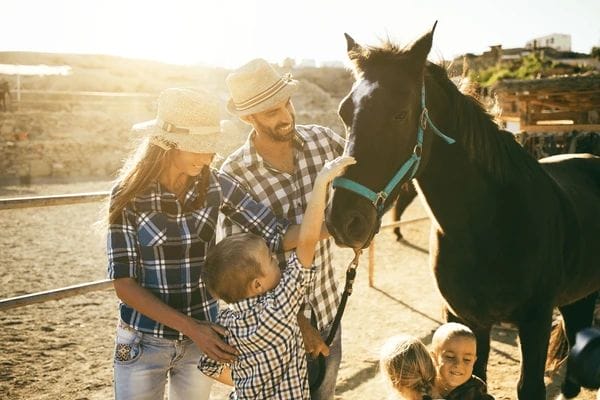 A cheerful family with two adults and two children petting and interacting with a black horse Family interacting with a horse on a sunny day at a ranch