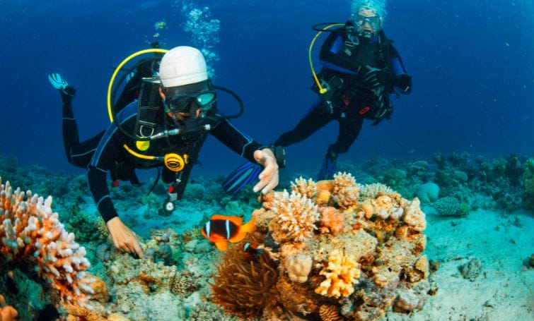 two people snorkeling