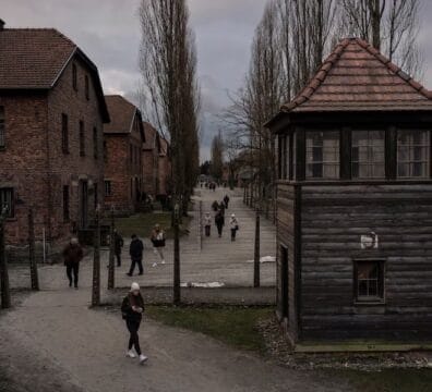 Auschwitz TWD