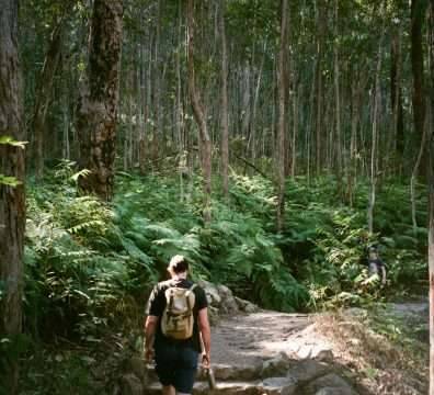 a man walking in the woods